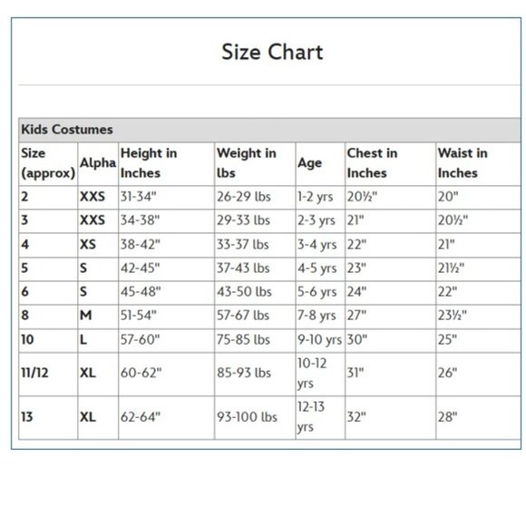 DISNEY Authentic Cinderella Deluxe Costume Dress, Crown & Scepter (Girls Med) - Picture 16 of 16